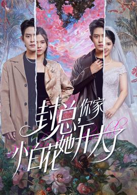 封总，你家小白花她开大了(全集)
